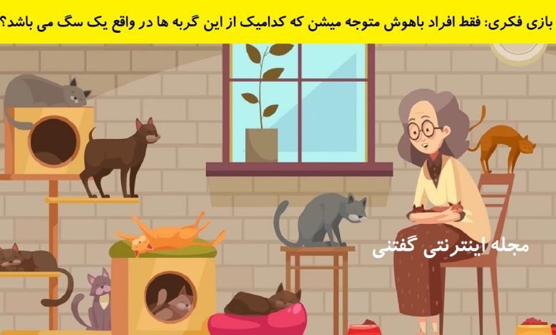 بازی فکری شناخت گربه عجیب 1