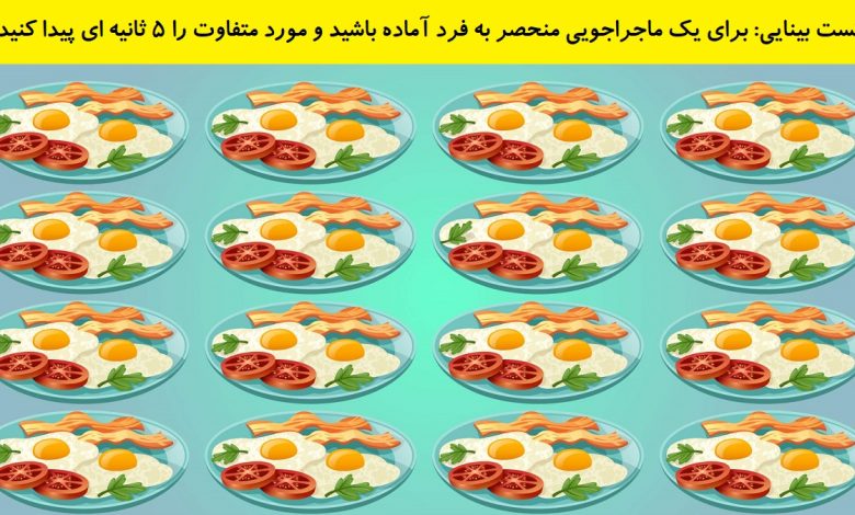 تست بینایی یافتن بشقاب متفاوت تخم مرغ 1