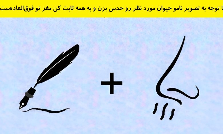 تست هوش فهمیدن نام حیوان 1