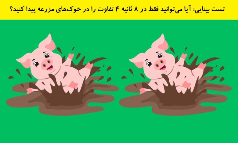 تفاوت تصویری خوک های مزرعه 1