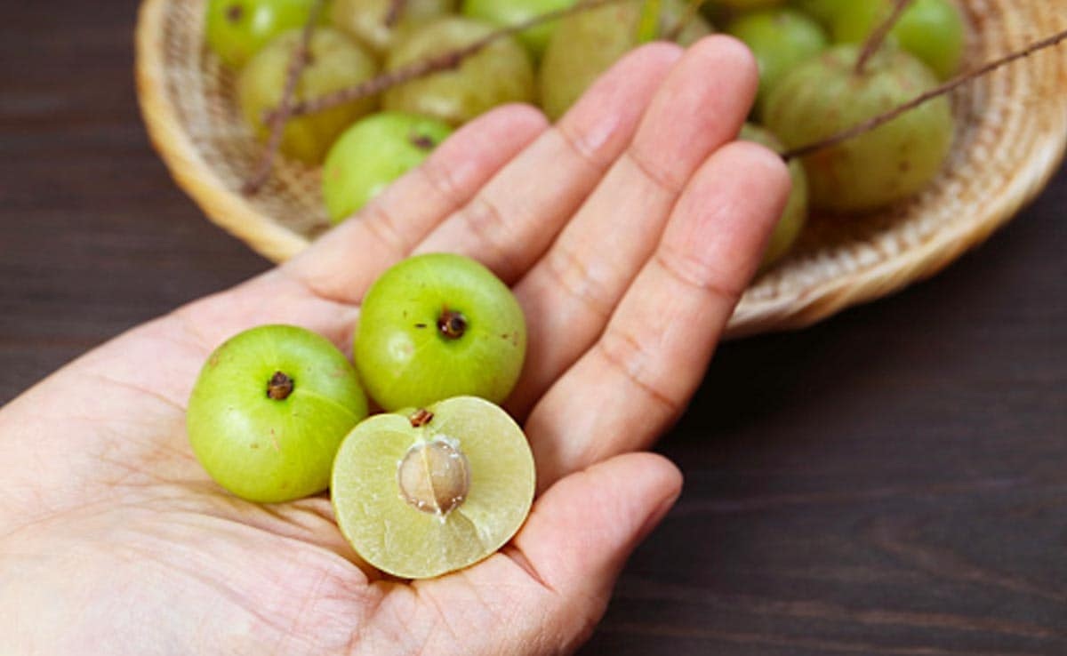 فواید و مضرات خوردن گوجه سبز-4