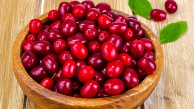 ویتامینها و مواد معدنی در زغال اخته