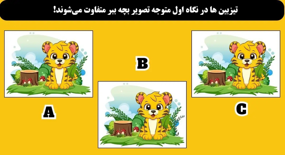 تست هوش یافتن بچه ببر متفاوت