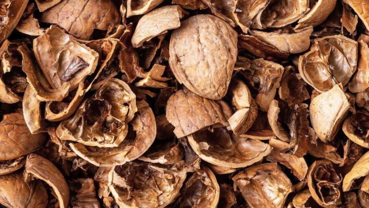 استفاده از پوست گردو خشک‌ شده به عنوان یک کود طبیعی برای گیاهان اپارتمانی