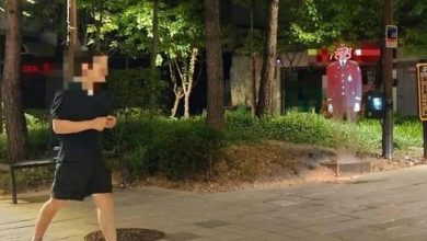 پلیس سه‌بعدی در سئول