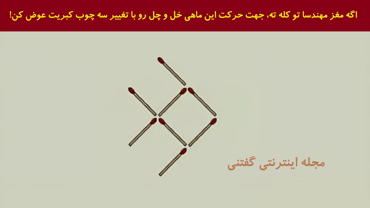 تست هوش چوب کبریت ماهی