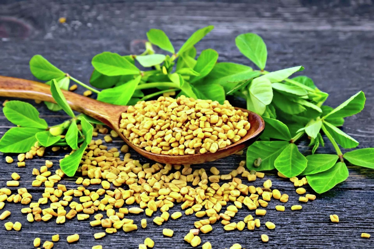 مواد گیاهی برای کاهش میل قندی-2