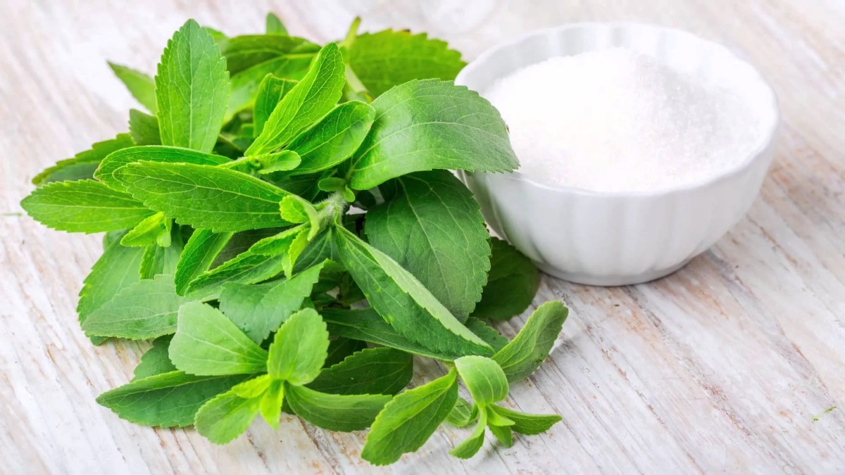 مواد گیاهی برای کاهش میل قندی-6