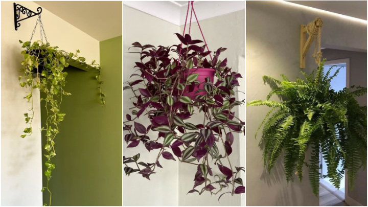 آویز گلدان برای دکور منزل