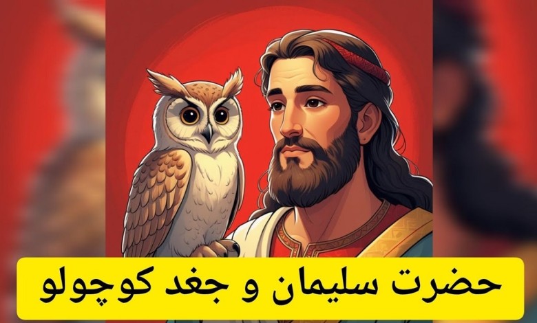 داستان حضرت سلیمان و جغد کوچولو