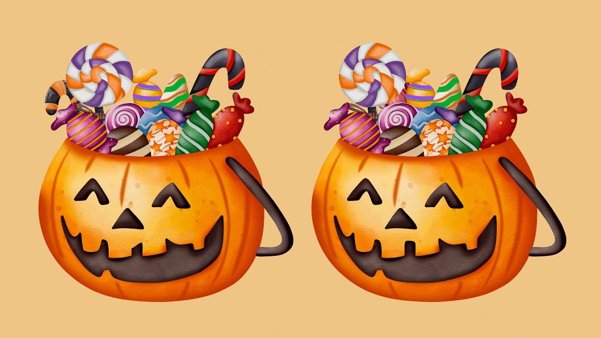 تفاوت تصویری کدو تنبل ها