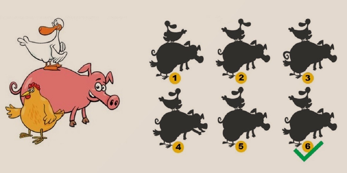 پاسخ تست هوش یافتن سایه درست