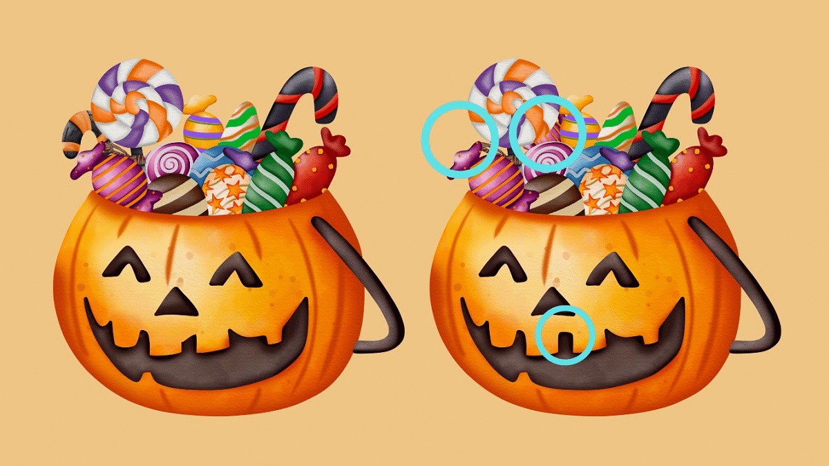 پاسخ تفاوت تصویری کدو تنبل ها