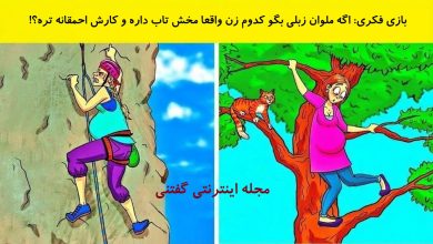 بازی فکری شناخت زن حامله احمق تر 1