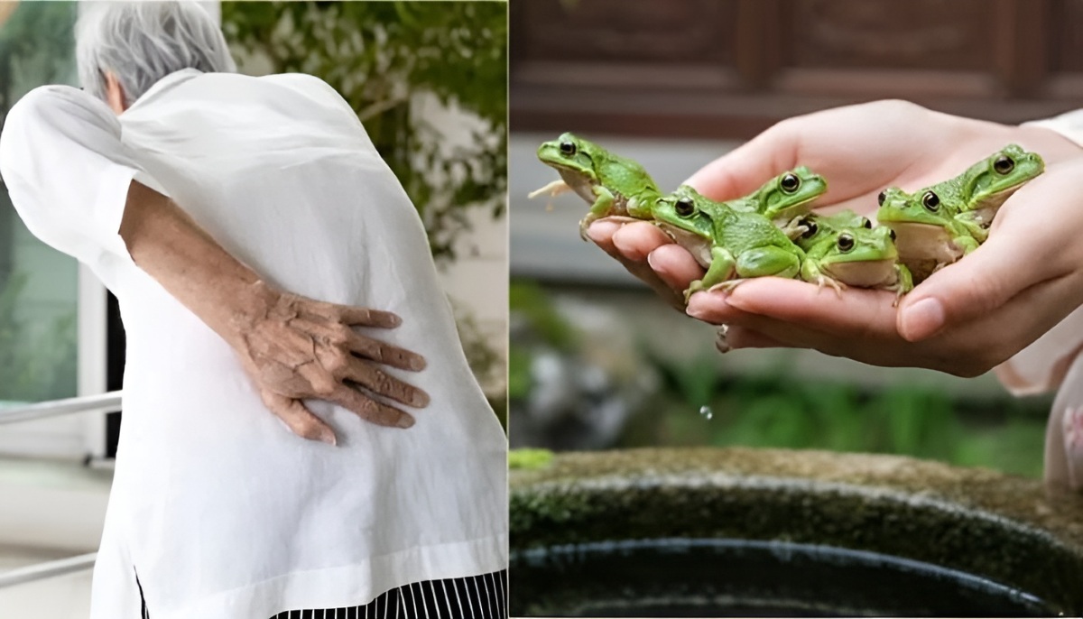 بلعیدن قورباغه زنده توسط زن چینی به جای دارو-1