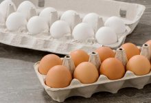تأثیر تخم‌مرغ محلی بر درمان کم خونی