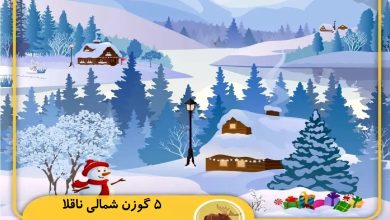 تست بینایی یافتن پنج گوزن شمالی ناقلا 1