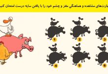 تست هوش یافتن سایه درست 1