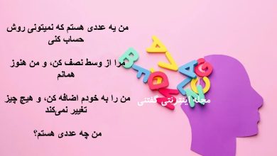 تست هوش یافتن عدد مرموز 1