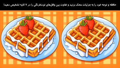 تفاوت تصویری بین وافل‌های توت‌فرنگی 1