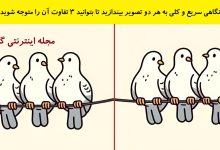 تفاوت تصویری سه کبوتر روی سیم برق 1