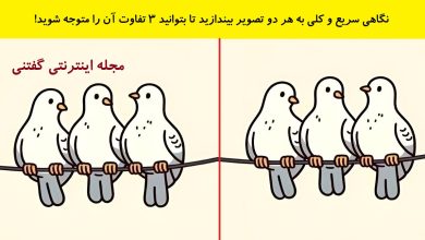 تفاوت تصویری سه کبوتر روی سیم برق 1