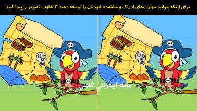 تفاوت تصویری طوطی دزد دریایی 1