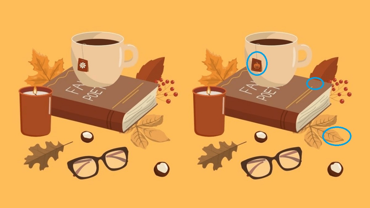 پاسخ تفاوت تصویری بین اشیاء پاییزی