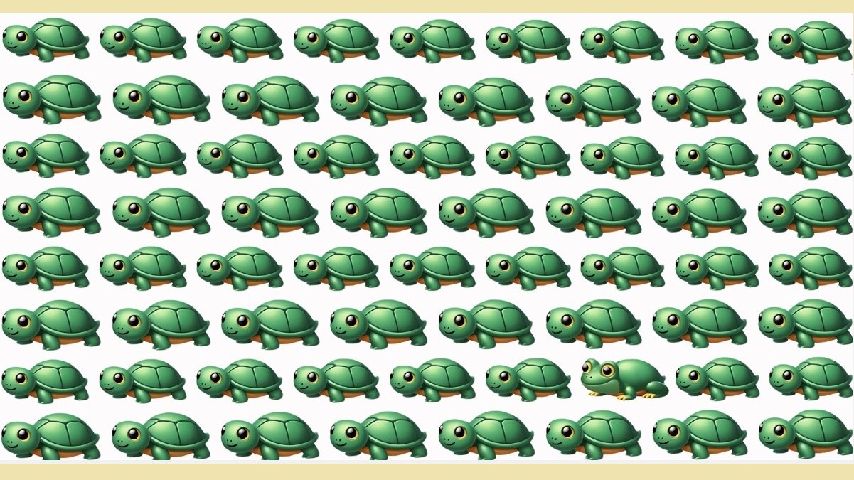 تست بینایی یافتن قورباغه میان لاک پشت ها