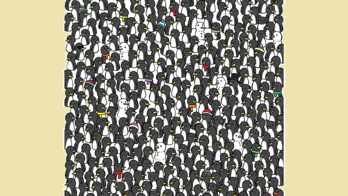 تست بینایی یافتن ۳ گربه حریص بین پنگوئن‌ها