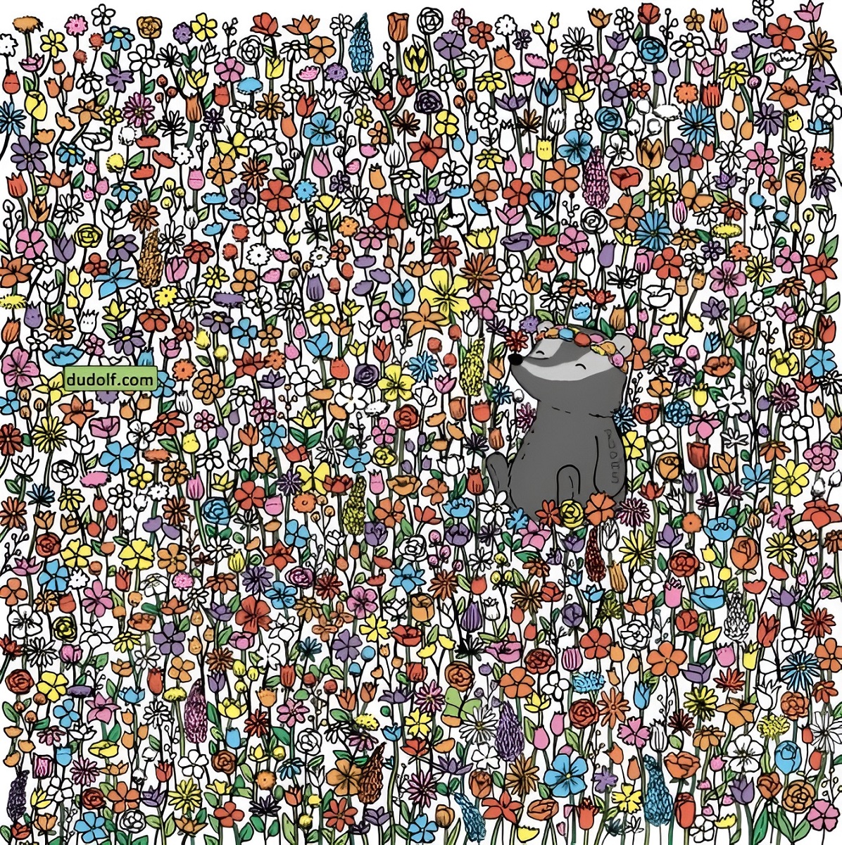 تست بینایی ۵ پروانه پنهان شده در میان گلها