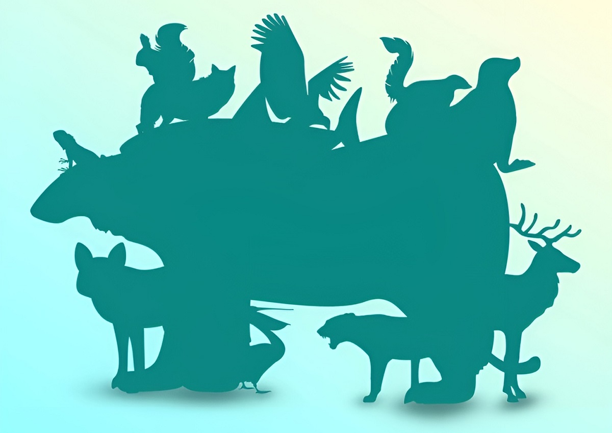 تست هوش تمام حیوانات پنهان شده