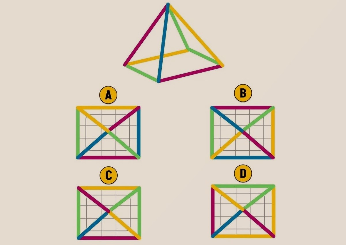 تست هوش نمای بالایی درست هرم