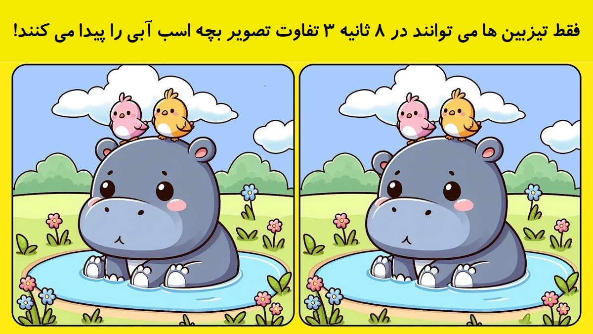 تفاوت تصویری بچه اسب آبی