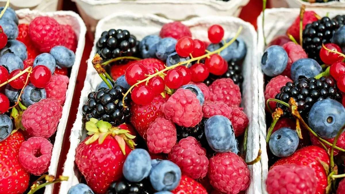 خوراکی‌هایی که استرس را کاهش می‌دهند-3