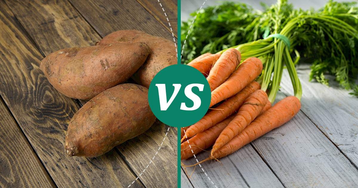 مواد خوراکی مفید برای چشم و بینایی-3