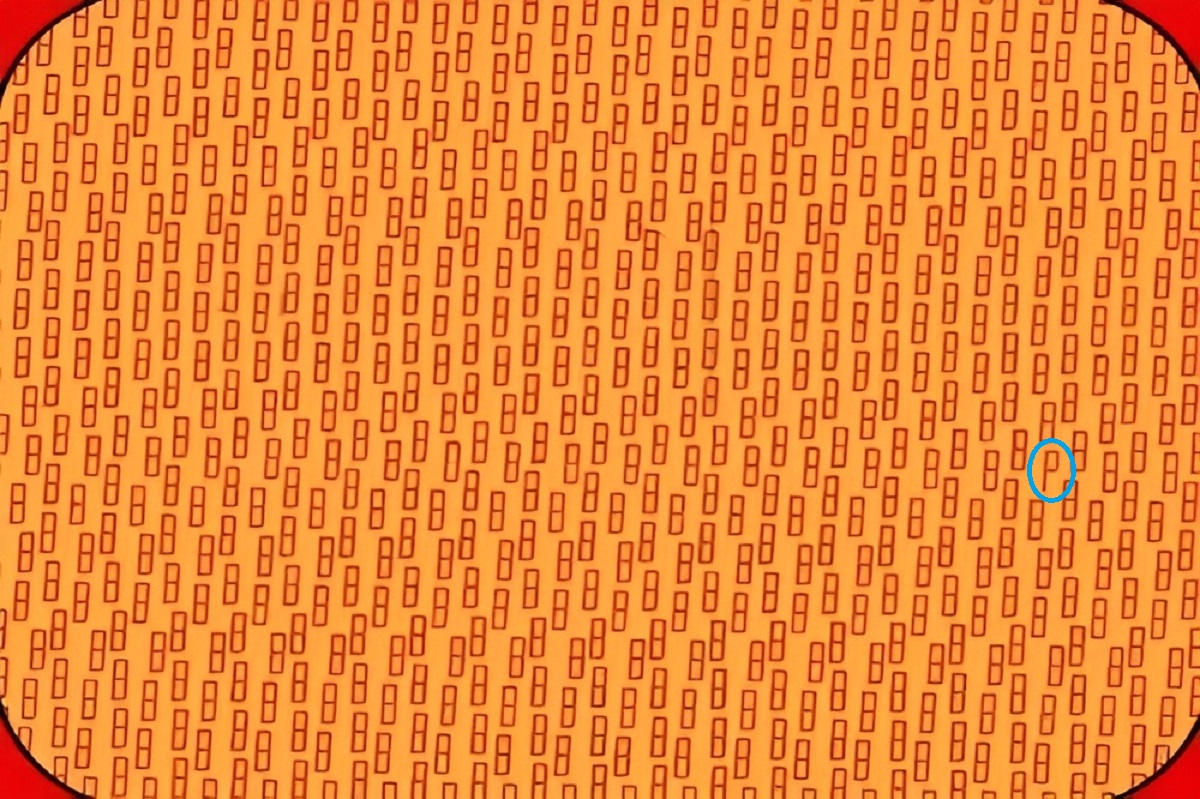 پاسخ تست بینایی یافتن حرف P مخفی