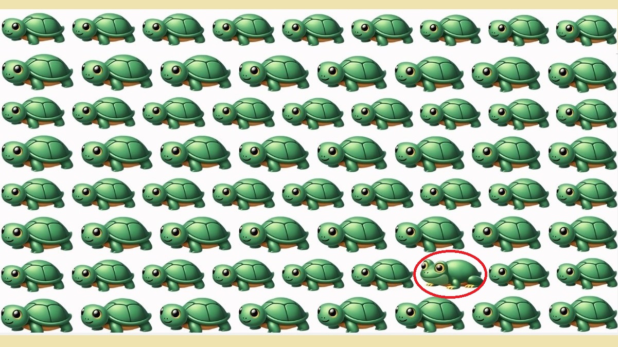 پاسخ تست بینایی یافتن قورباغه میان لاک پشت ها