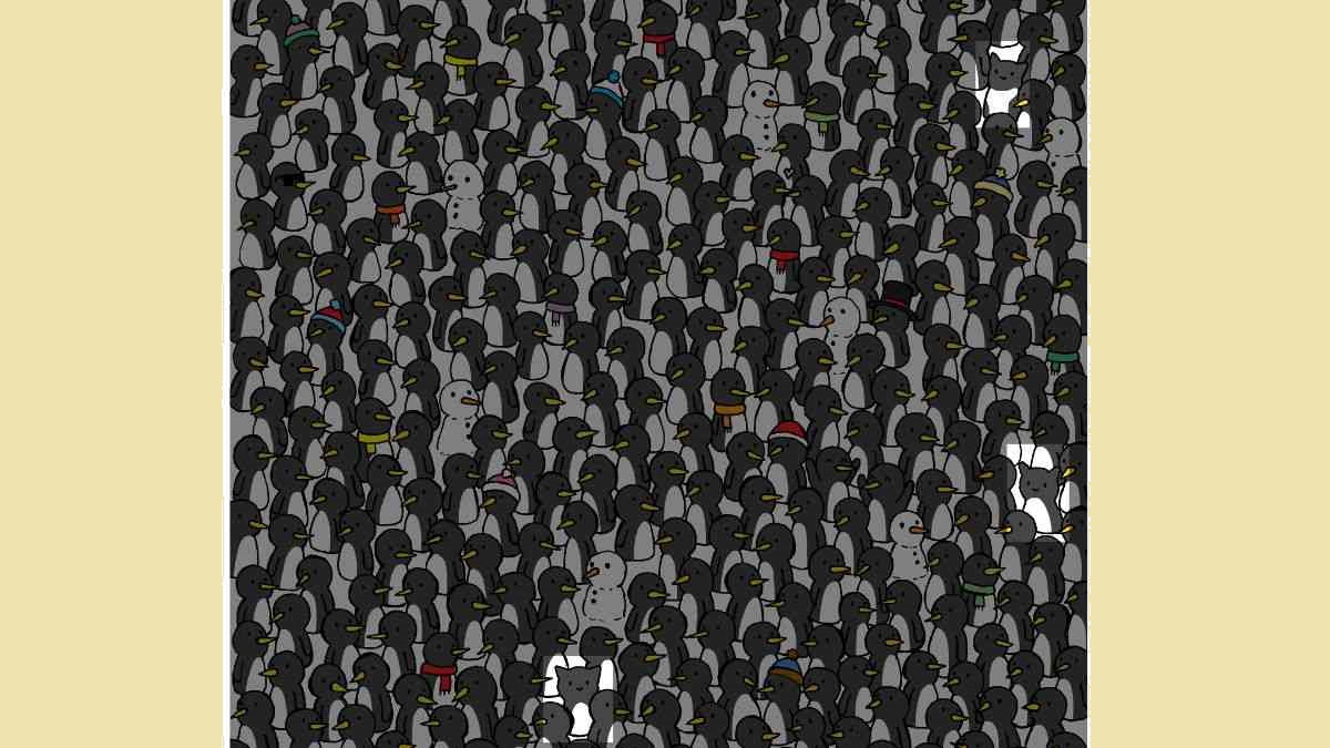 پاسخ تست بینایی یافتن ۳ گربه حریص بین پنگوئن‌ها