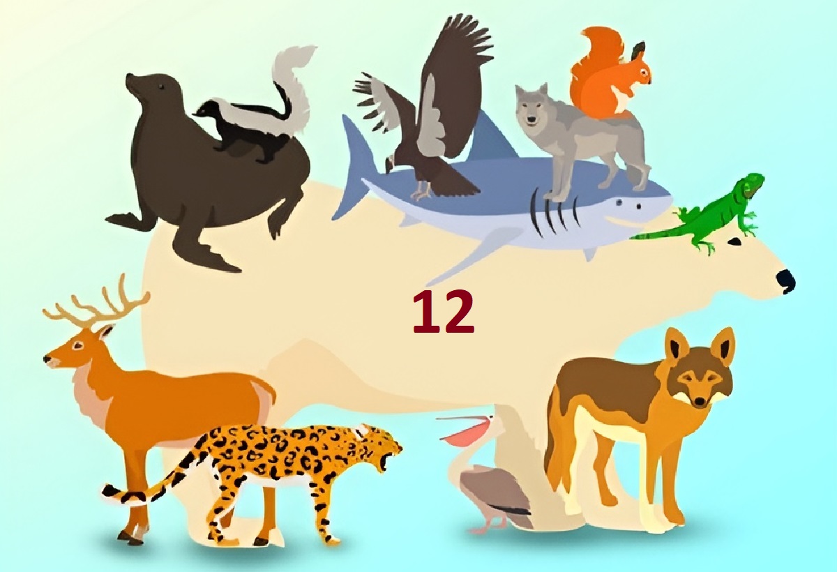 پاسخ تست هوش تمام حیوانات پنهان شده