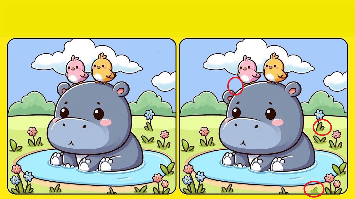 پاسخ تفاوت تصویری بچه اسب آبی