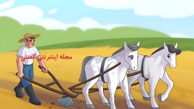 اشتباه تصویری شخم زدن مزرعه توسط اسب ها 1