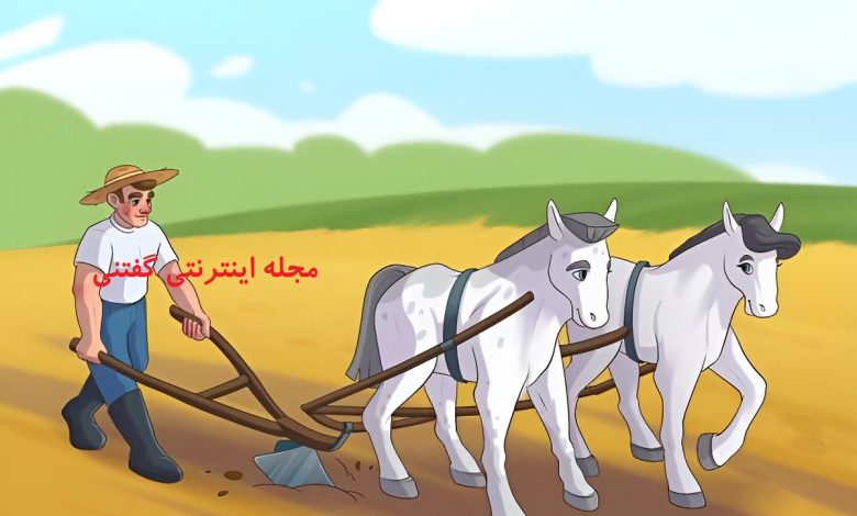 اشتباه تصویری شخم زدن مزرعه توسط اسب ها 1