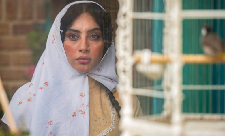 ترلان پروانه در پشت صحنه بامداد خمار