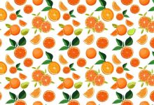 تست بینایی لیموترش پنهان در میان پرتقال‌ها 1