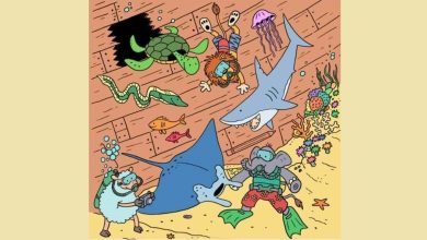 تست بینایی پیدا کردن تکه پیتزا در کف دریا 1