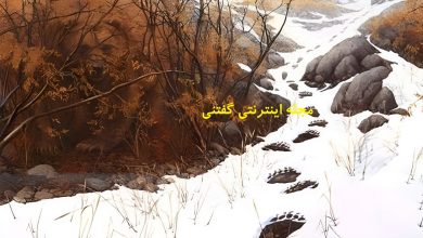 تست بینایی یافتن 2 خرس در طبیعت برفی 1