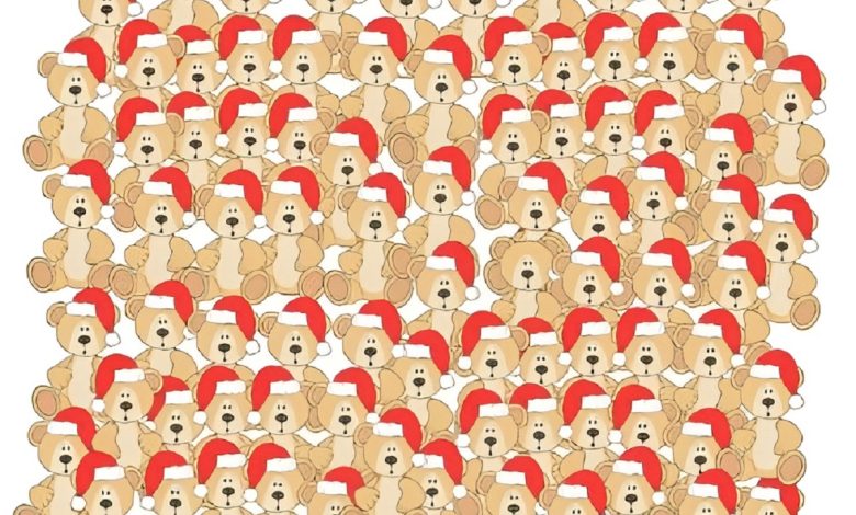 تست بینایی یافتن خرس عروسکی بدون کلاه 1