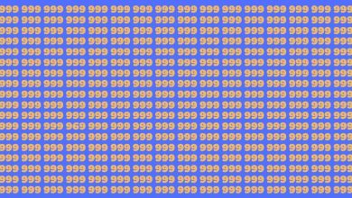 تست بینایی یافتن عدد ۹۶۹ بین اعداد ۹۹۹-1