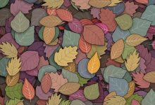 تست بینایی یافتن قورباغه در توده برگ ها 1